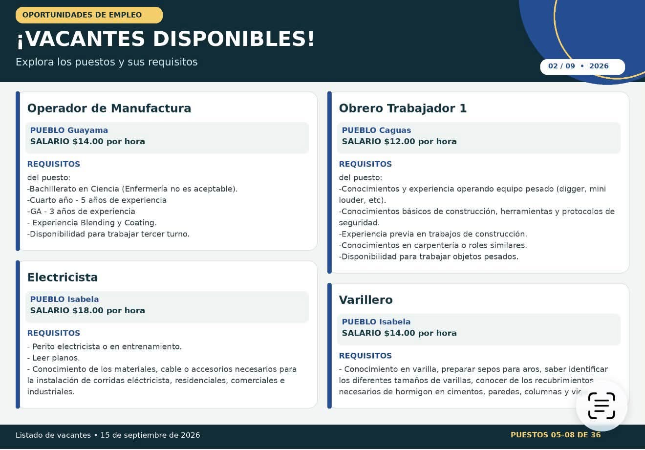 Flyer del anuncio, subido por el patrono