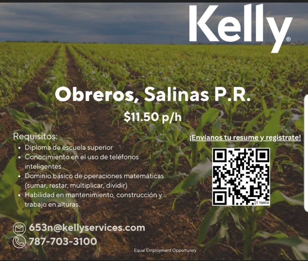 Flyer del anuncio, subido por el patrono