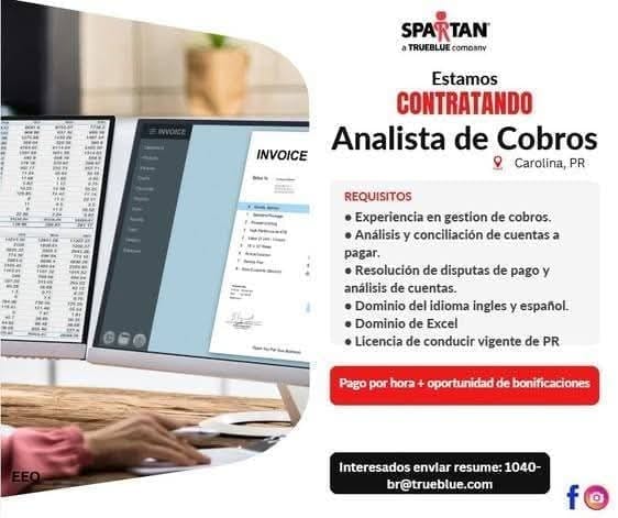 Flyer del anuncio, subido por el patrono
