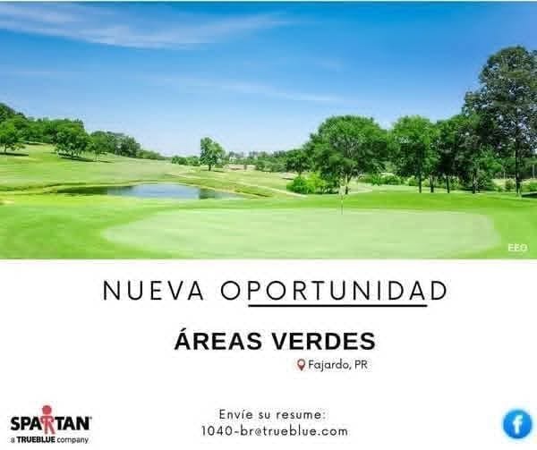 Flyer del anuncio, subido por el patrono