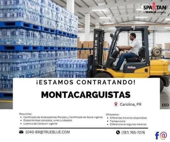 Flyer del anuncio, subido por el patrono