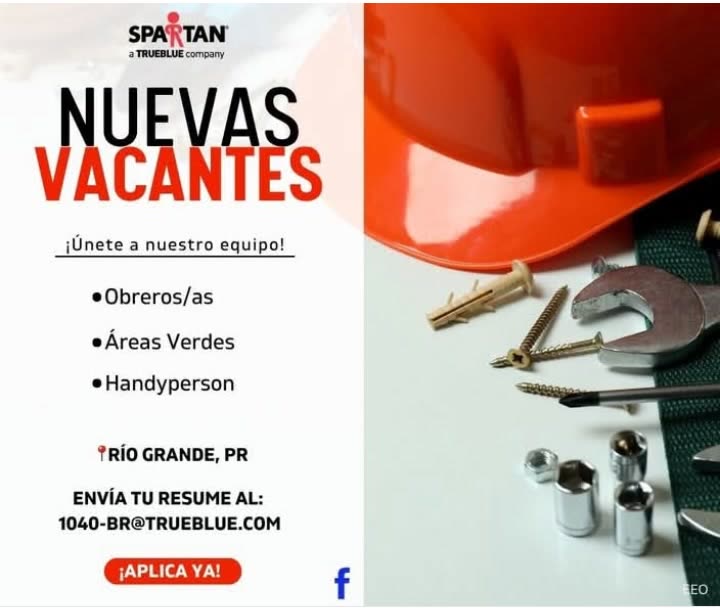 Flyer del anuncio, subido por el patrono